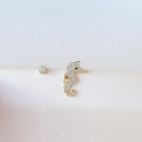 Colorless Seahorse Shimmer Stud Earrings