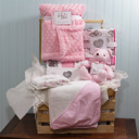  16 Piece Baby Blankets and Bath Crate Set, Pink