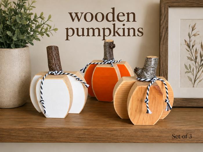 Wooden Pumpkins set of 3 