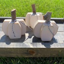 White White Wooden Pumpkins set of 3 