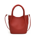 Red Drew Mini Bucket Crossbody Tote