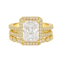  Sterling Silver 3.0ct Radiant Cut Halo Moissanite Three Ring Set