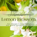 Lemon Blossom Softie | Spring Squeeze Wax Melt | Home Fragrance | Squeeze Candle