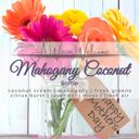  Mahogany Coconut Softie | Mother's Day Scent | Squeeze Wax Melt | Squeeze Candle