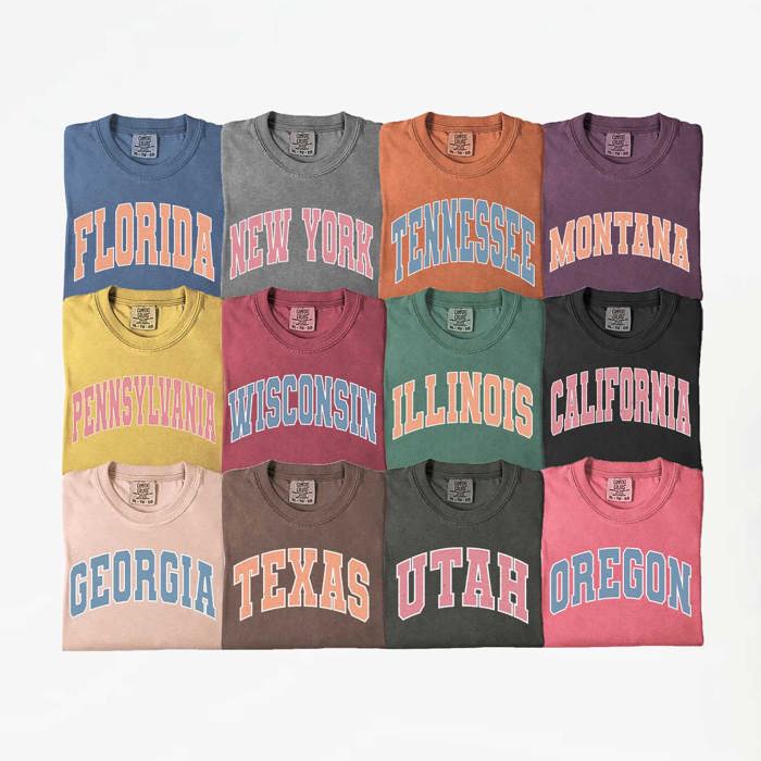 US States Varsity Font Comfort Colors Tee, America States Shirt, Home State Tee