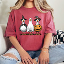  Halloween Costume Geese Comfort Colors Tee, Spooky Goose Printed Tee, Halloween Funny Tee 