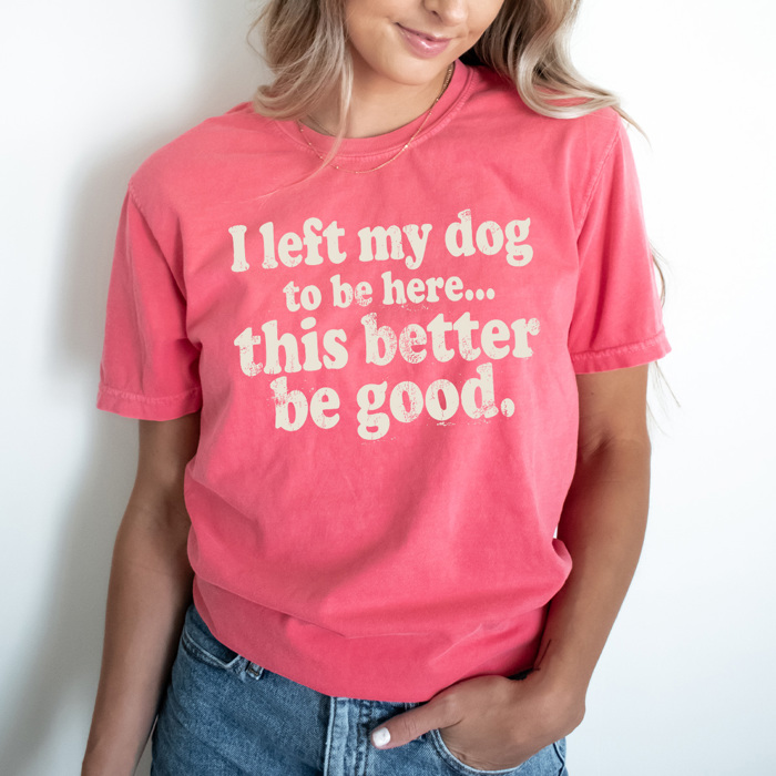 I Left My Dog To Be Here Graphic Tee, This Better Be Good Shirt, Funny Dog Owner Comfort Colors Tee