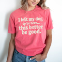  I Left My Dog To Be Here Graphic Tee, This Better Be Good Shirt, Funny Dog Owner Comfort Colors Tee