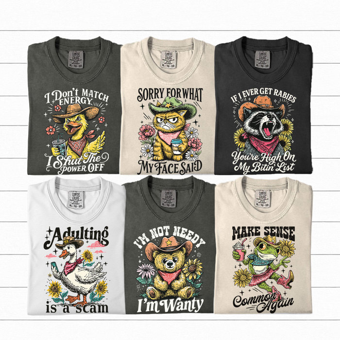 Funny Snarky Humor Graphic Tee, Sarcastic Graphic Tee, Adult Unisex Tee, Comfort Color Shirt