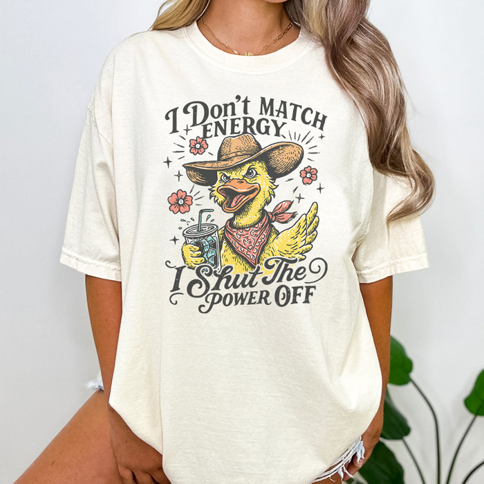 Funny Snarky Humor Graphic Tee, Sarcastic Graphic Tee, Adult Unisex Tee, Comfort Color Shirt