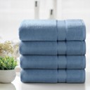 4-piece Sky Blue Kathy Ireland 2-4 Piece Zero Twist Cotton Plush Bath Sheet Set
