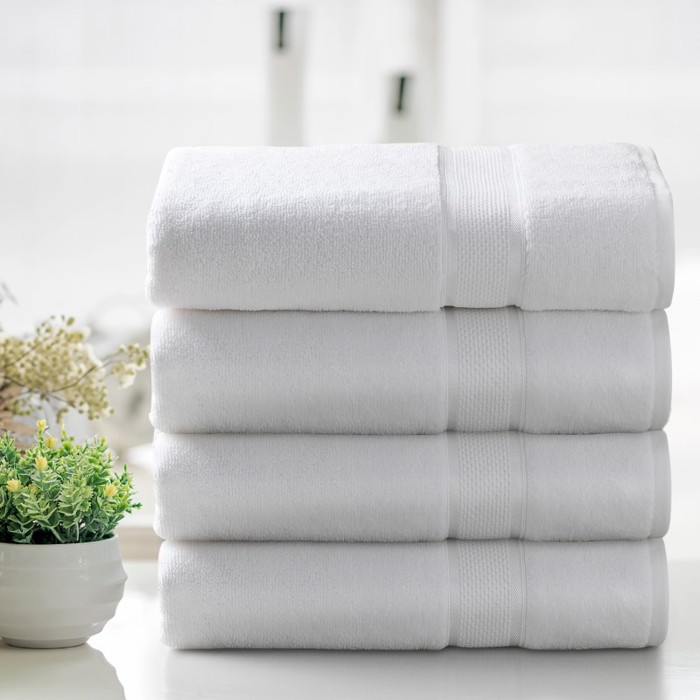 Kathy Ireland 2-4 Piece Zero Twist Cotton Plush Bath Sheet Set