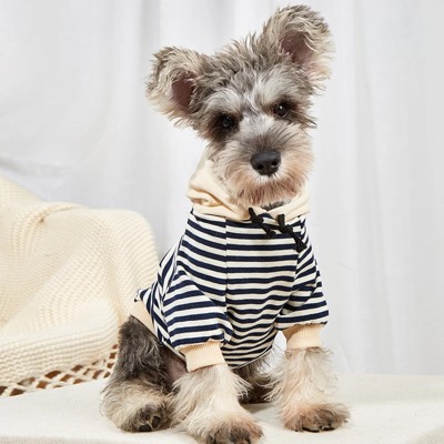 Super Cute Blue Striped Sweater for Small Pups! Dogs and Cats | Gifts