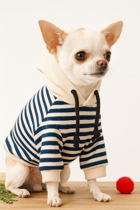Dog Hoodie for Small Breeds. Cozy, Cute and Perfect for Gifting