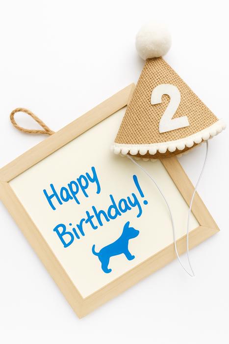 Birthday Hat & Whiteboard Set  - Party time