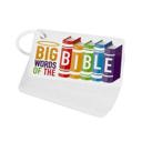 Big Words of the Bible Flashcards Christian Flashcards to Help Kids Learn About the Bible & Faith