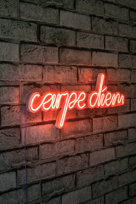Carpe Diem Led Neon Red Light Wall Decor