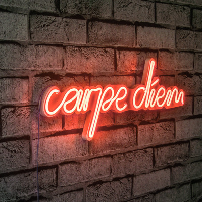 Carpe Diem Led Neon Red Light Wall Decor
