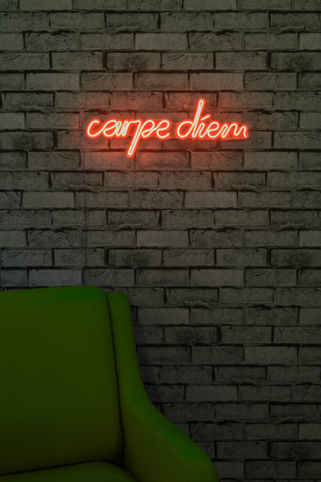 Carpe Diem Led Neon Red Light Wall Decor