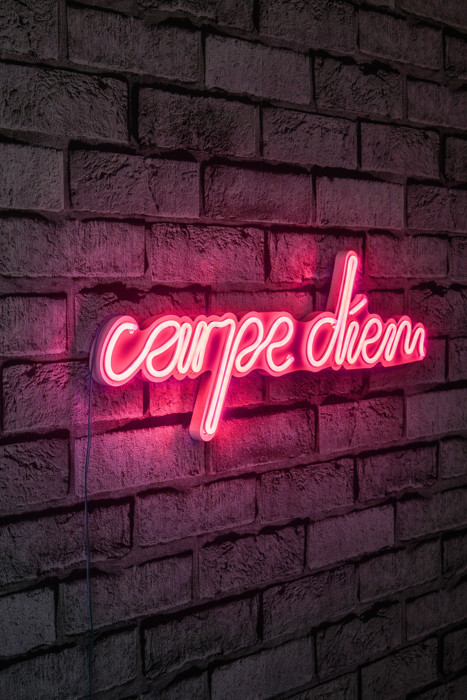 Carpe Diem Led Neon Pink Light Wall Decor