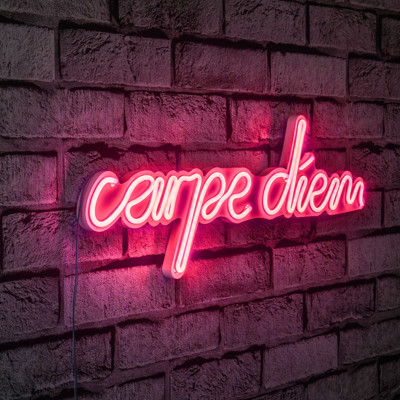 Carpe Diem Led Neon Pink Light Wall Decor