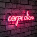  Carpe Diem Led Neon Pink Light Wall Decor