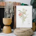5 x 7 Hope in a Little Flower Art Print | Nursery or Bedroom Decor