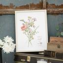 5 x 7 Hope in a Little Flower Art Print | Nursery or Bedroom Decor