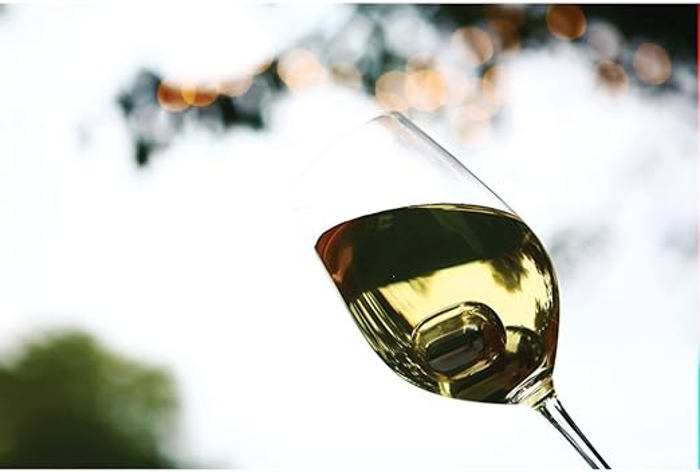 Sparq Wine Pearls Set of 4