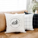  P. Cottontail Co Feed- Spring Pillow Cover 18x18 inch