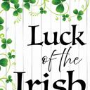  St. Patrick’s Day Garden Flag Luck of the Irish