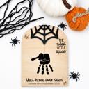  DIY Halloween Paint Kit , Cutest Little Spider DIY, Halloween Keepsake, My first Halloween, Baby First Halloween, Halloween Gift