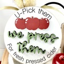  Apple Tiered Tray Decor, Farm Fresh Apple Cider Decor Set, Fall Kitchen Decor, Apple Picking Theme, Farmhouse Tiered Tray Decor