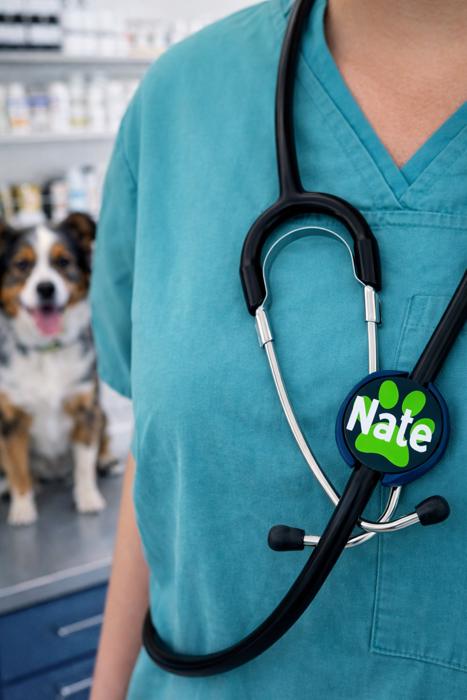 Personalized Paw Print Stethoscope ID Tag - DMV Vet Tech Gift 