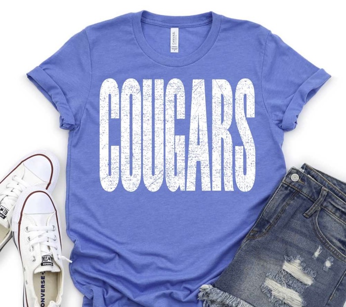 Bold Mascot Block Letter Tee - 30 Mascots Available 