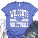  Custom Mascot Volleyball Tee – 30+ Mascots, 50+ Shirt Colors & Custom Ink