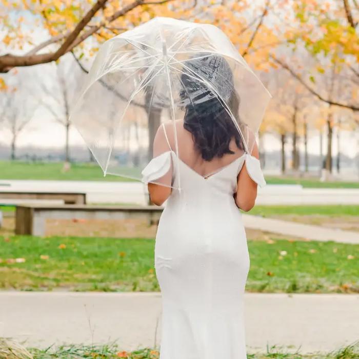 Clear Dome Wedding Umbrella – Single or Bridal Party Sets