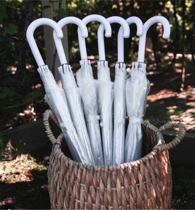 Clear Dome Wedding Umbrella – Single or Bridal Party Sets