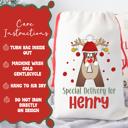  Personalized Rudolph Initial Special Delivery Santa Bag | Child’s Initial & Name | Large and Small Bags