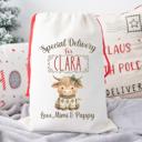  Personalized Baby Animal Christmas Gift Bag | Child’s Name and Custom Signature