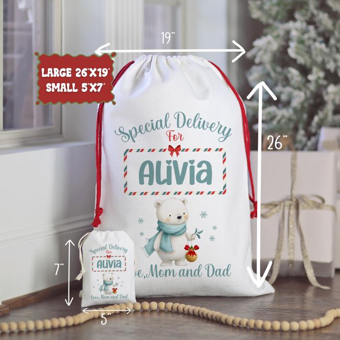 Personalized Baby Animal Christmas Gift Bag | Child’s Name and Custom Signature