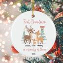  Family of Three Personalized Ornament | First Christmas Custom Deer Family Ornament with Names | Gift Box Included