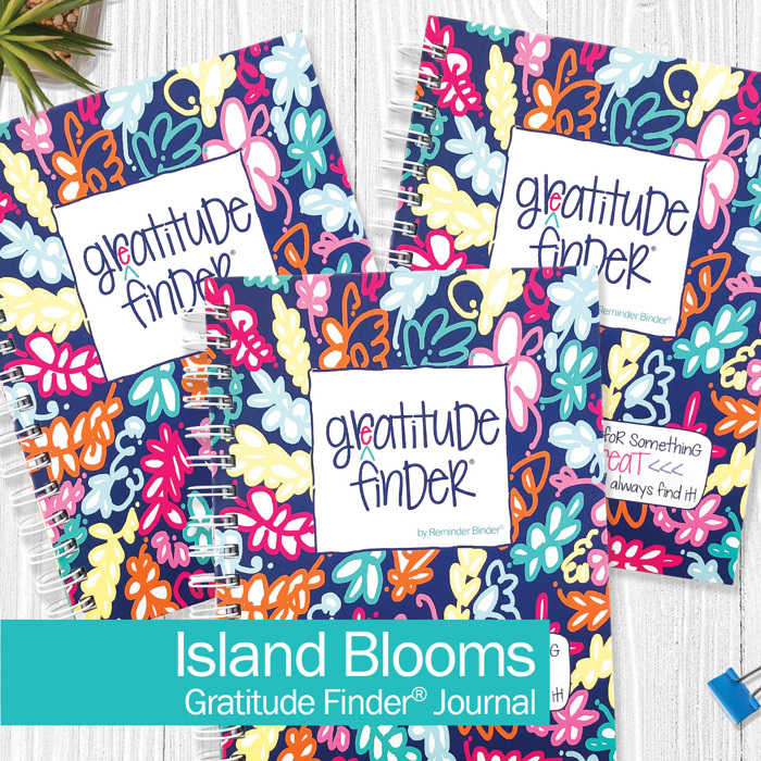 Bundle of (3) Gratitude Finder® Gratitude Journals | Ships FREE!