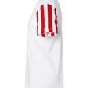  Stars & Stripes Patriotic T-Shirt