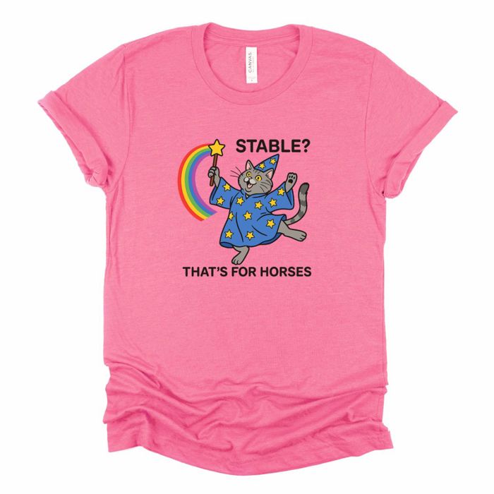 Stable That's For Horses  Funny Wizard Cat With Wand - Soft Longer Length Bella Canvas