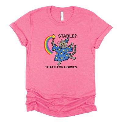 Stable That's For Horses  Funny Wizard Cat With Wand - Soft Longer Length Bella Canvas