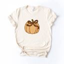  Seersucker Cheetah Print Striped Faux Fabric Pumpkin with Rick Rack Detailing Perfect For Fall - T-Shirt (Crewneck)  100 Cotton Solid Colors Jersey Tee (Uni