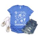  For By Him All Things Were Created - Seashells Beachy Christian Bible Scripture - T-Shirt (Crewneck)  100 Cotton Heavyweight Tee (Unisex)  Comfort Colors, S