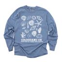  For By Him All Things Were Created - Seashells Beachy Christian Bible Scripture - T-Shirt (Crewneck)  100 Cotton Heavyweight Tee (Unisex)  Comfort Colors, S