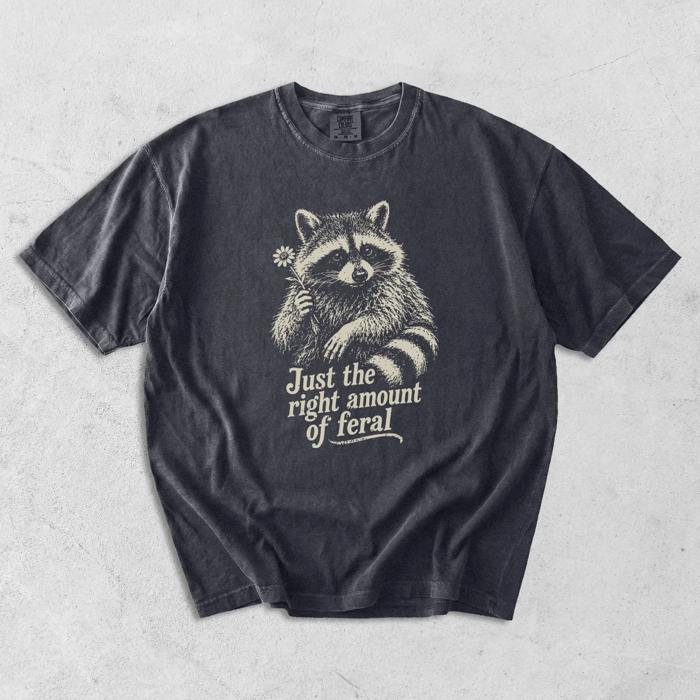 Just The RIght Amount of Feral - Dandelion Raccoon - T-Shirt, Sweatshirt Selection (Main Image - Comfort Colors - Brick)